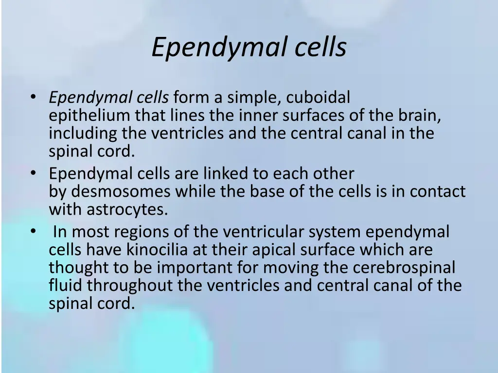 ependymal cells