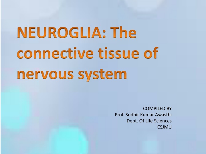 neuroglia the connective tissue of nervous system