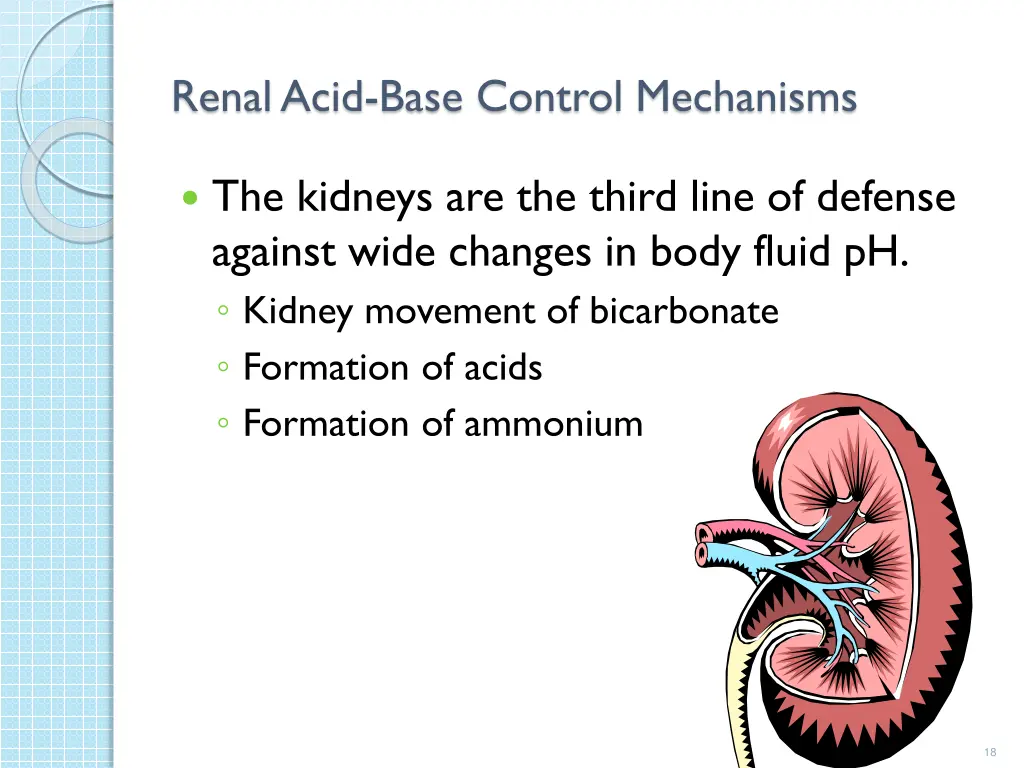 renal acid base control mechanisms