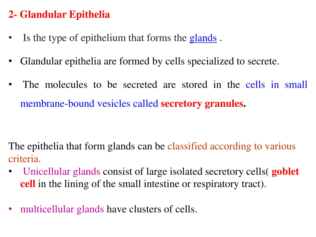 2 glandular epithelia