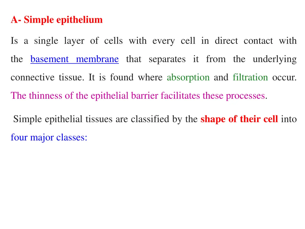 a simple epithelium