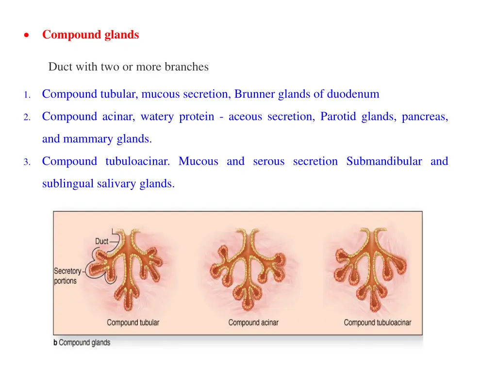 slide15