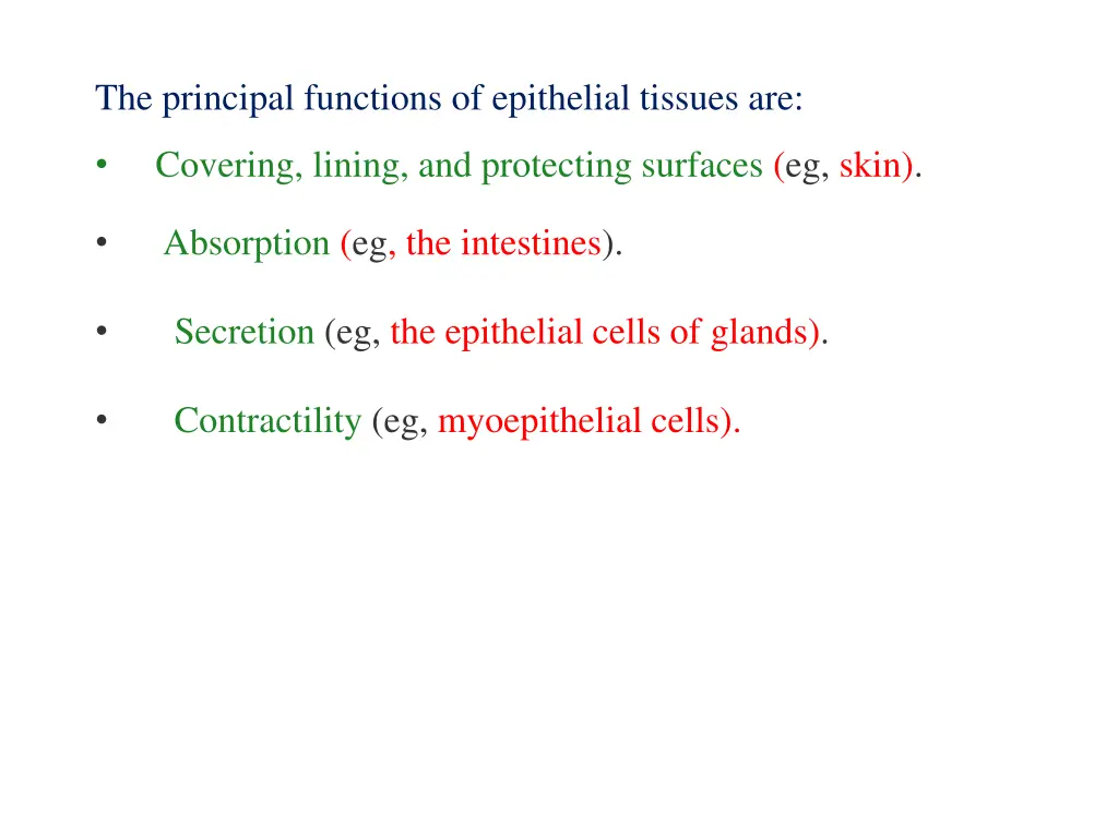 the principal functions of epithelial tissues are