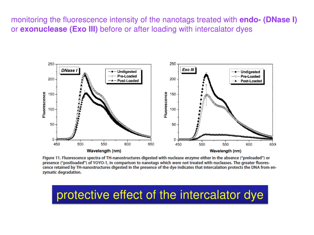 monitoring the fluorescence intensity