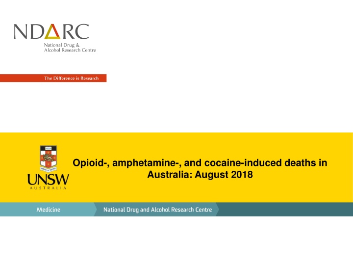 opioid amphetamine and cocaine induced deaths