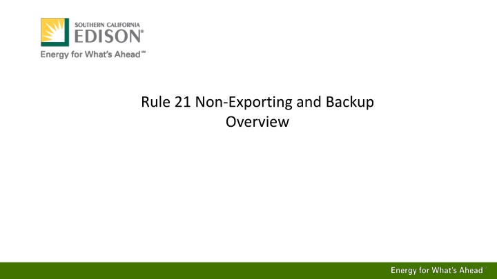 rule 21 non exporting and backup overview