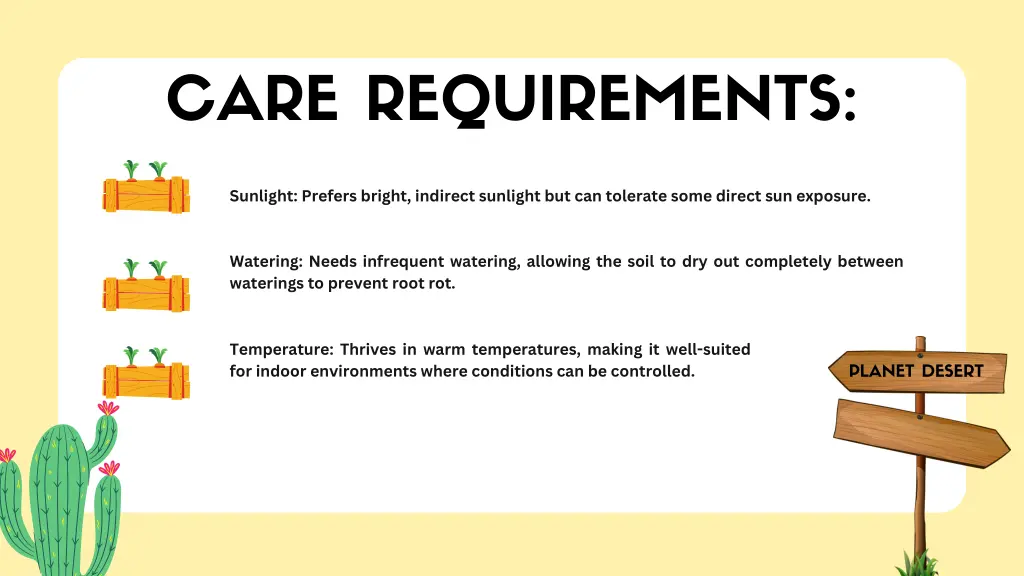 care requirements