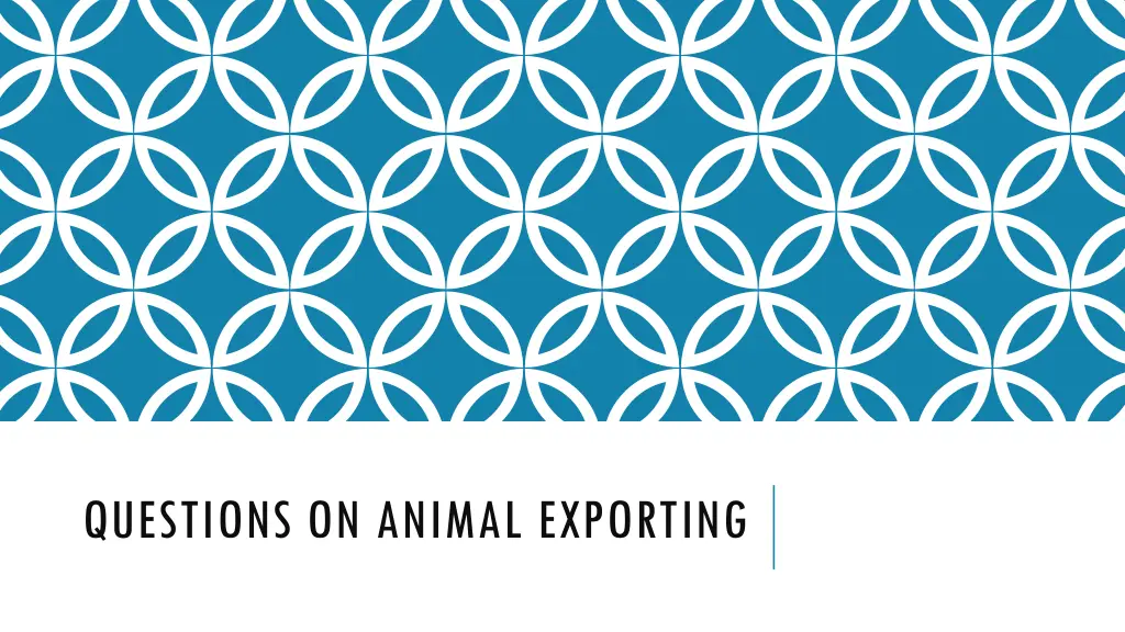 questions on animal exporting