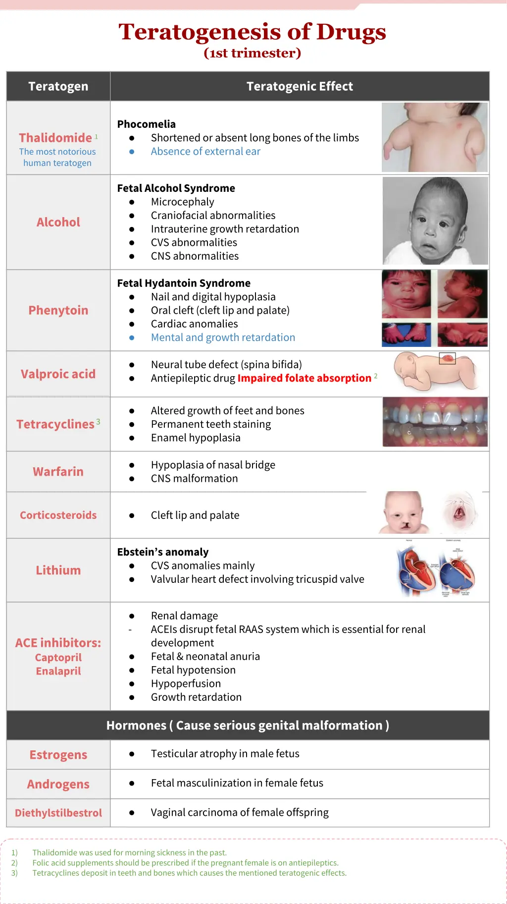 teratogenesis of drugs 1st trimester