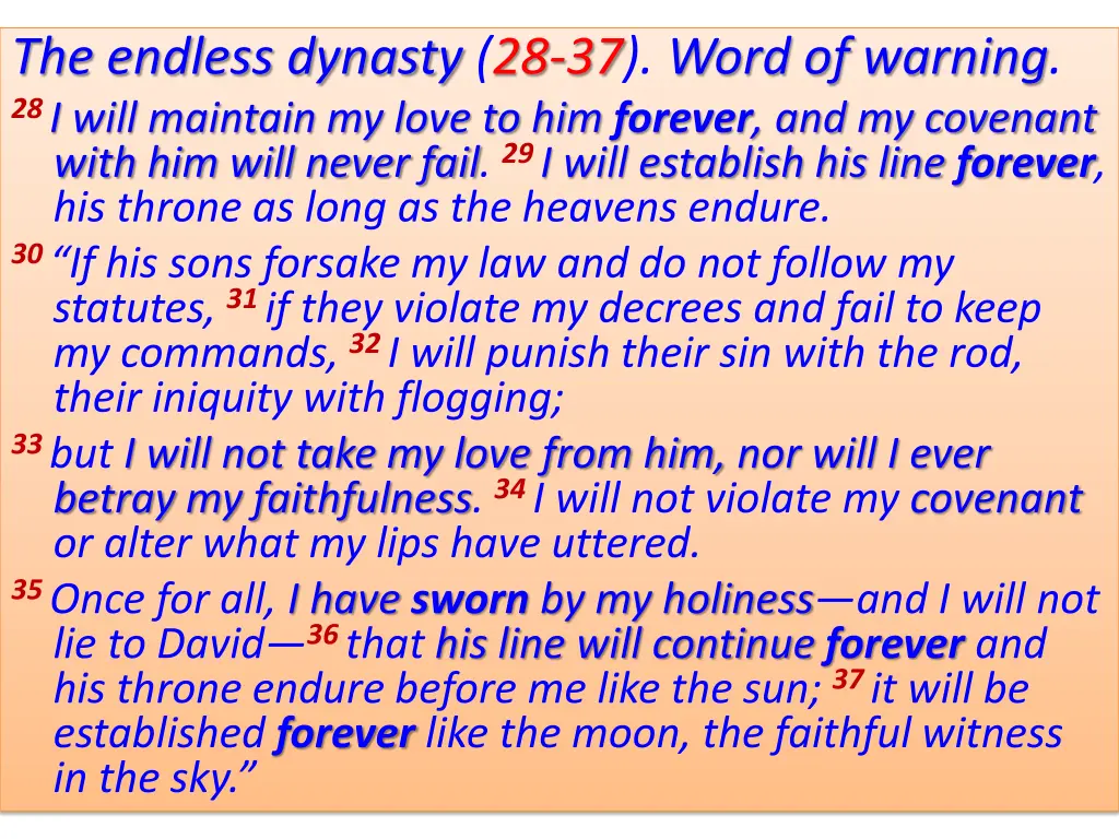 the endless dynasty 28 37 word of warning