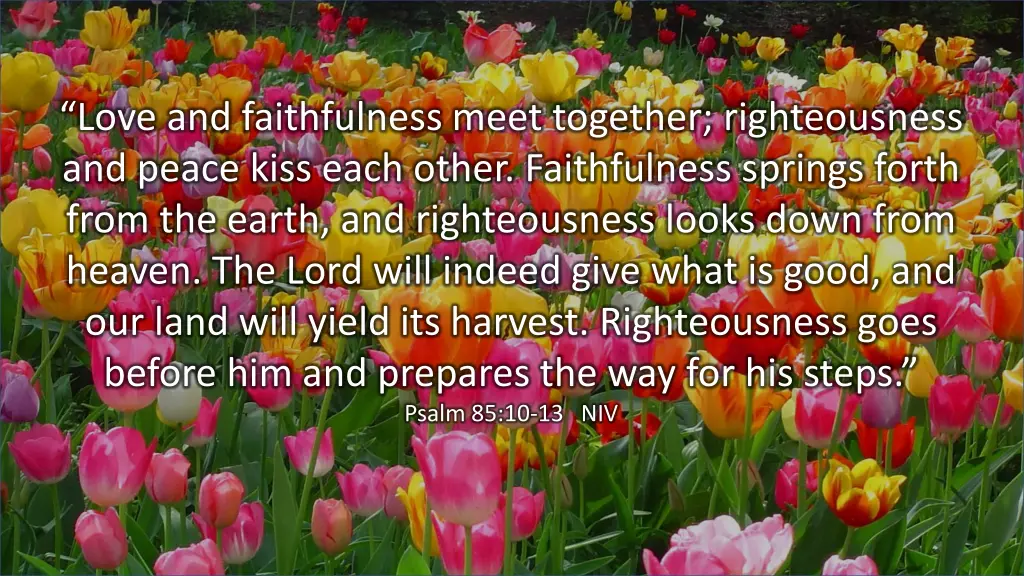 no love and faithfulness meet together