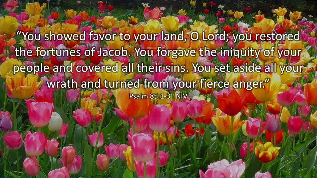 no you showed favor to your land o lord