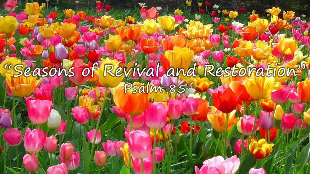 seasons of revival and restoration psalm 85