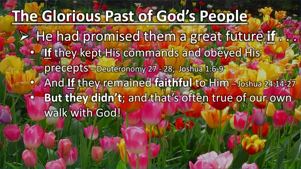 the glorious past of god s people 1