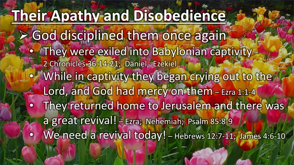 their apathy and disobedience 1