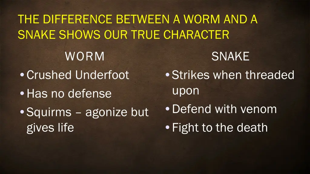 the difference between a worm and a snake shows