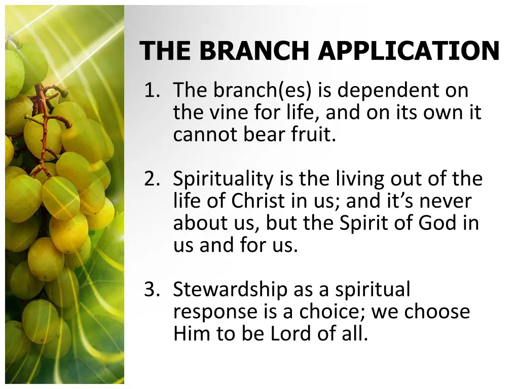 the branch application