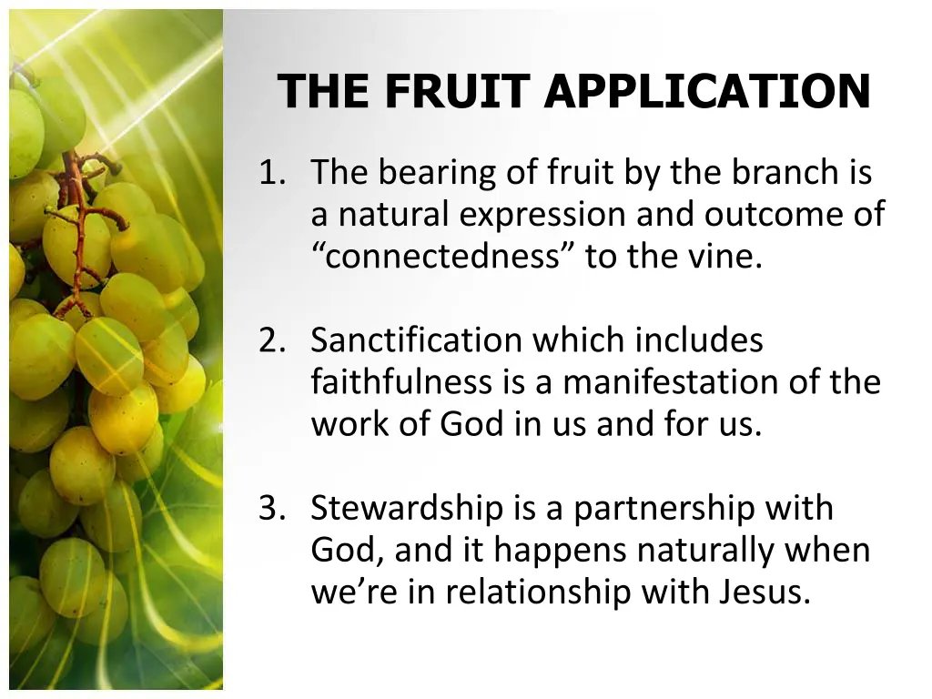 the fruit application