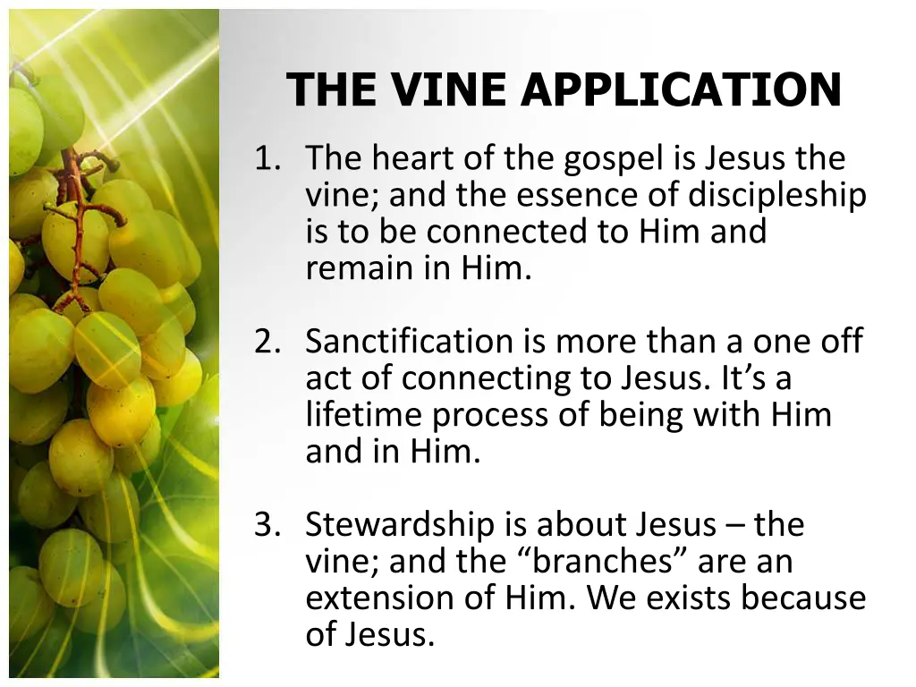 the vine application