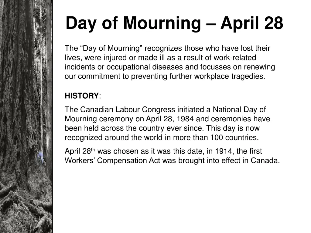 day of mourning april 28