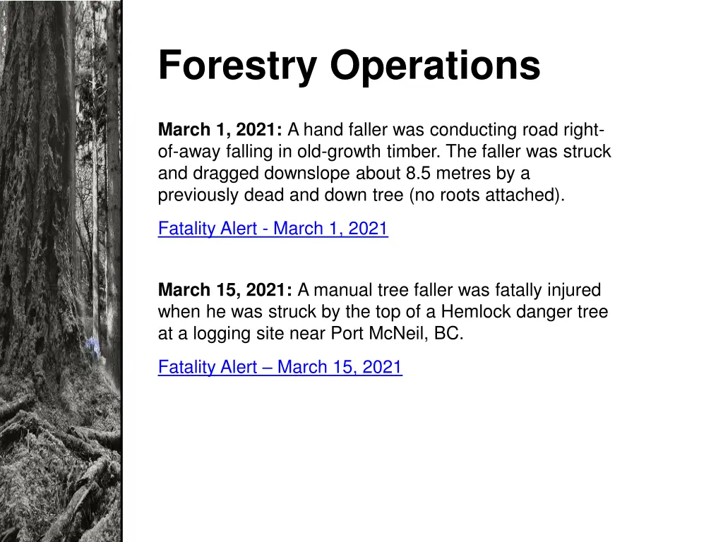 forestry operations 1