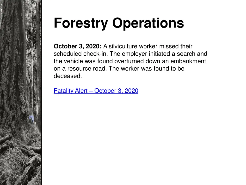 forestry operations