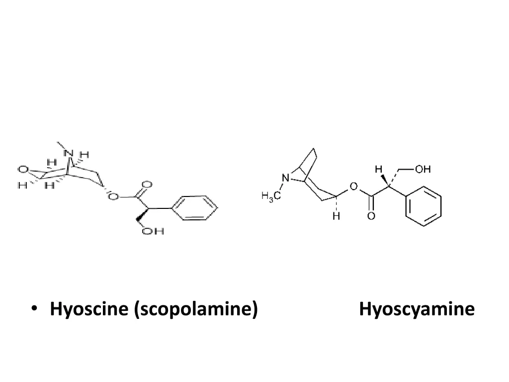 hyoscine scopolamine