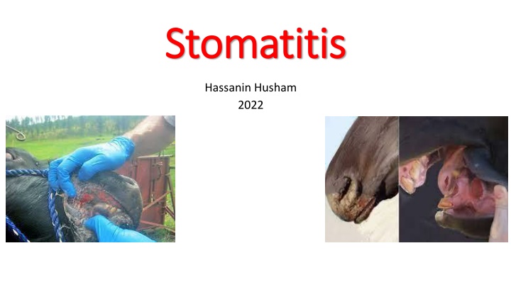 stomatitis stomatitis