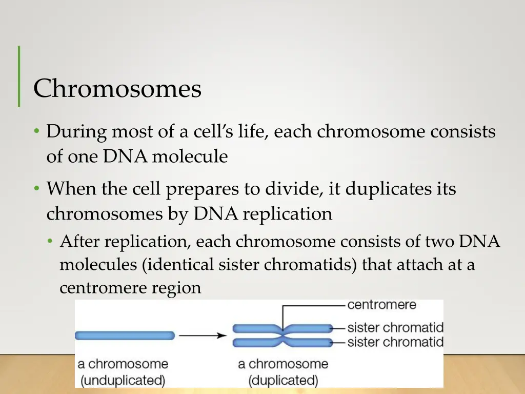 chromosomes 1