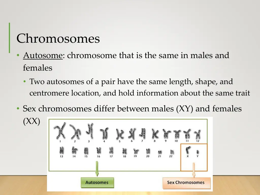 chromosomes autosome chromosome that is the same