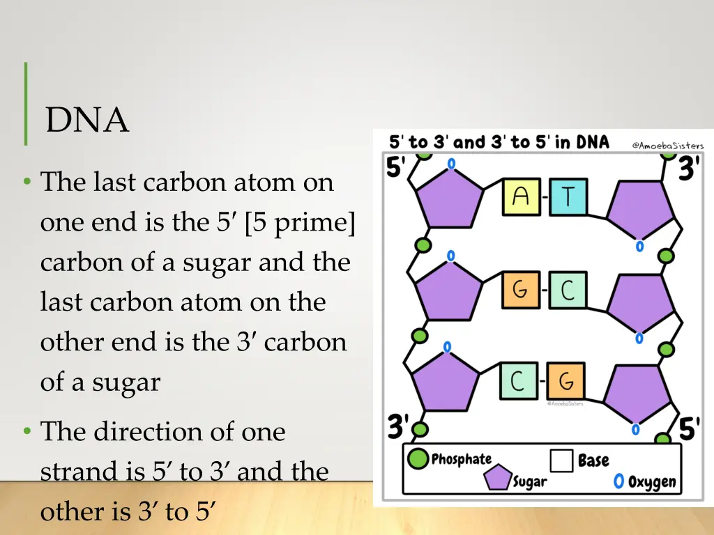 slide13