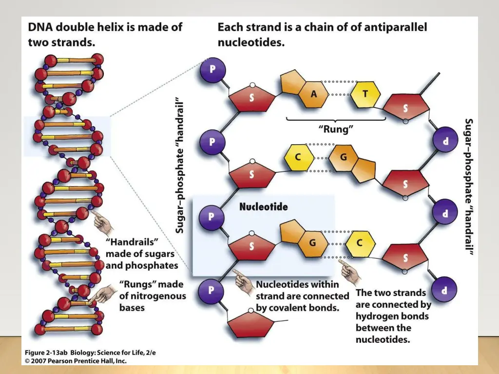 slide9