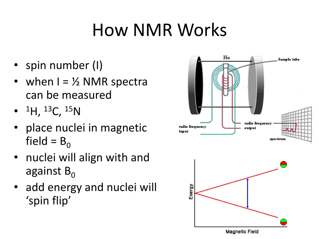 how nmr works