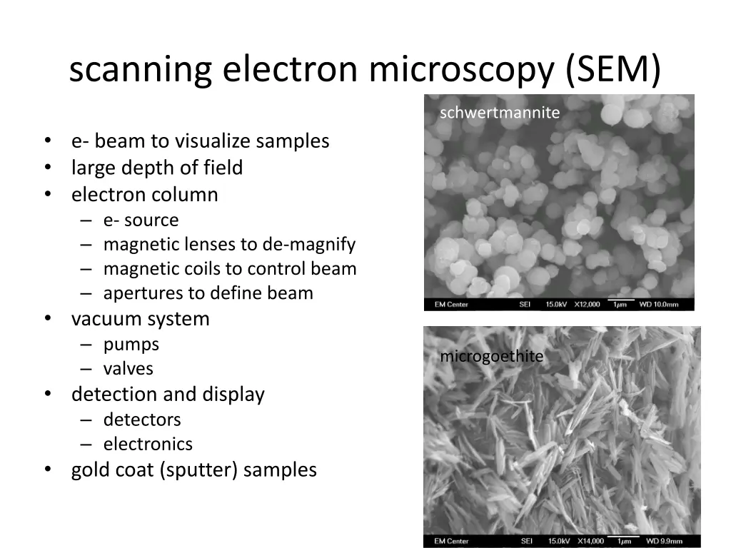 scanning electron microscopy sem