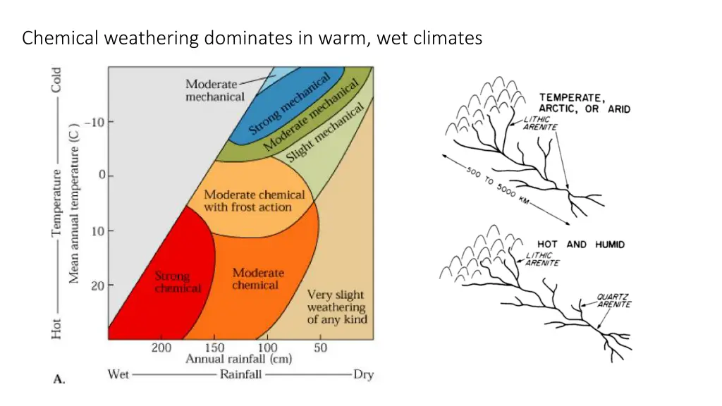 chemical weathering dominates in warm wet climates