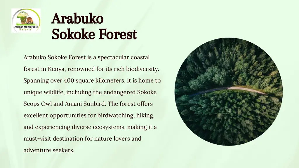 arabuko sokoke forest