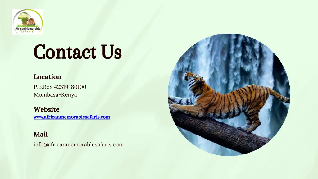 contact us