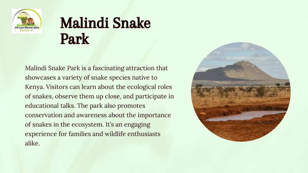 malindi snake park