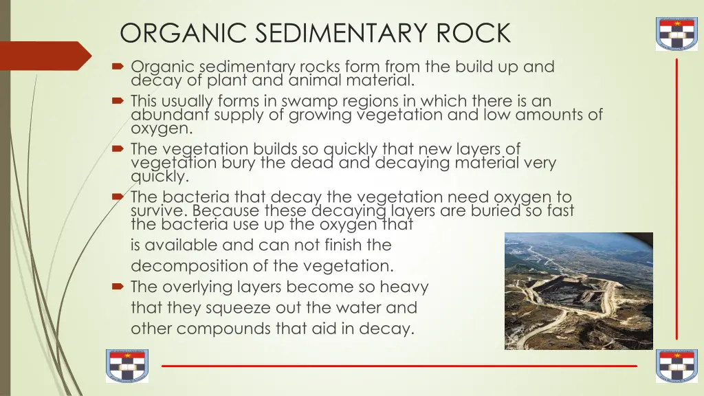 organic sedimentary rock organic sedimentary