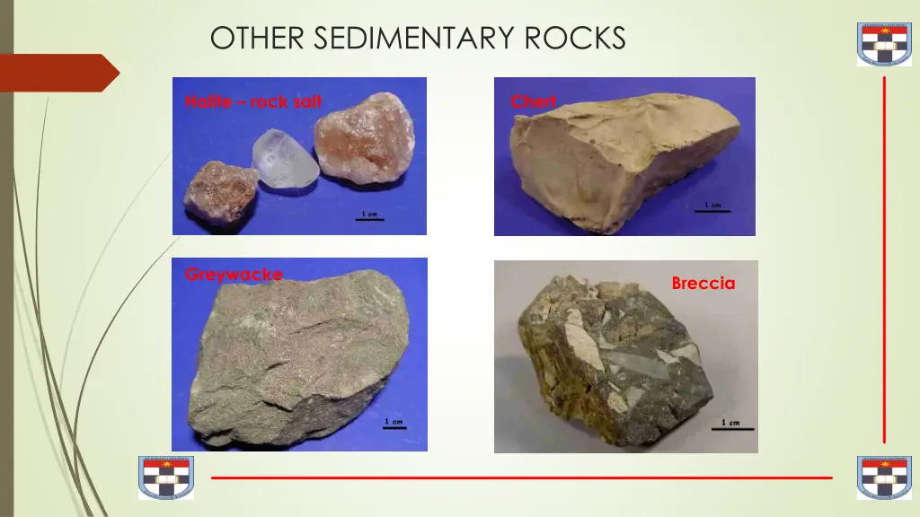 other sedimentary rocks