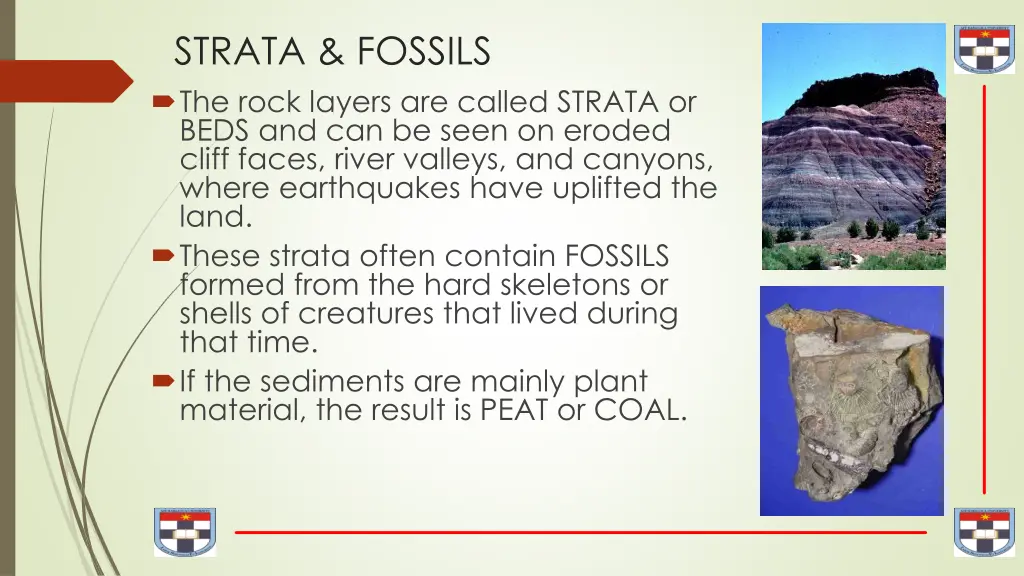 strata fossils the rock layers are called strata