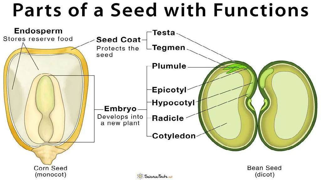 slide12