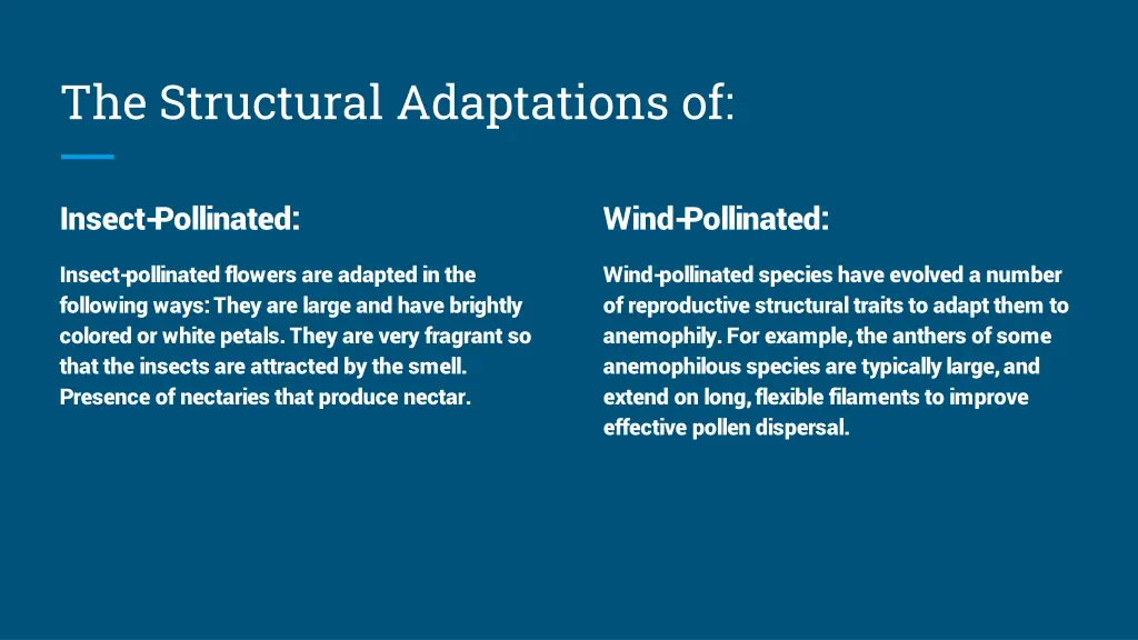 the structural adaptations of