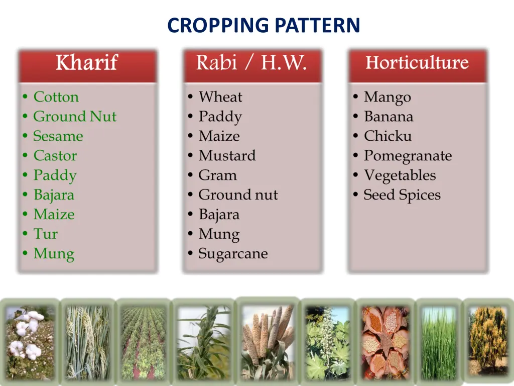 cropping pattern