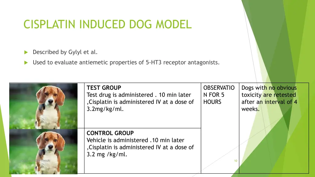 cisplatin induced dog model