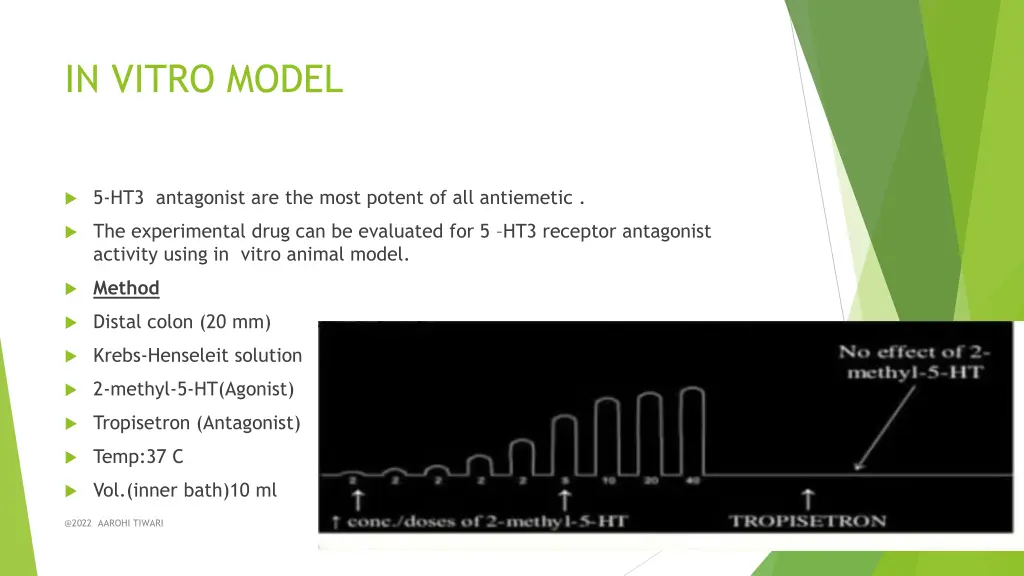 in vitro model