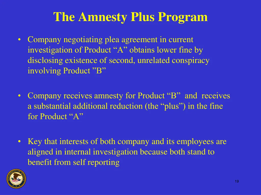 the amnesty plus program