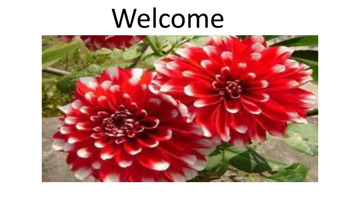 welcome