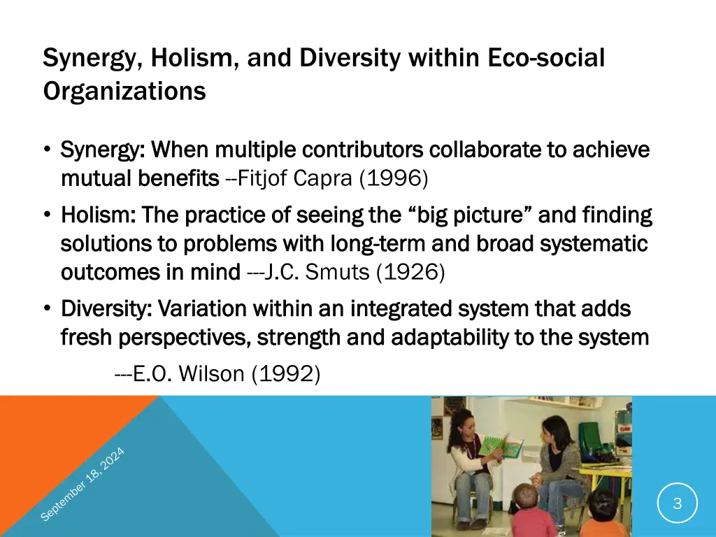 synergy holism and diversity within eco social