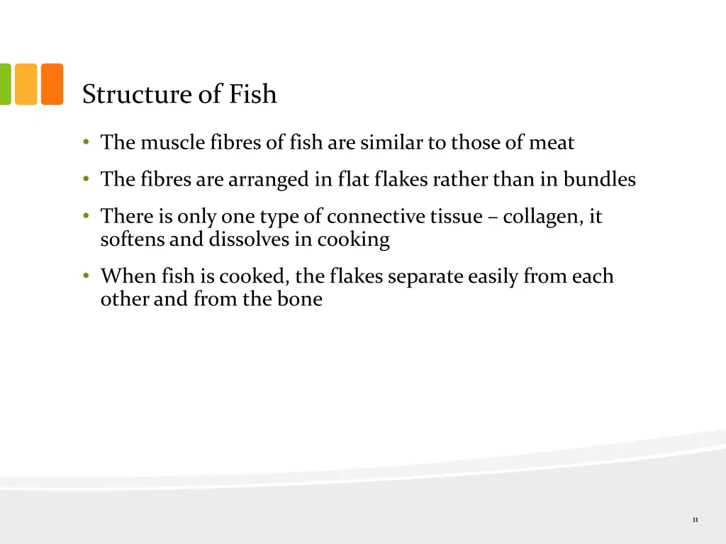 structure of fish 1